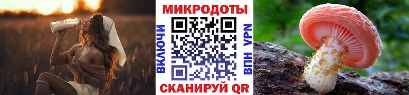 купить наркотики сайты  Шарыпово  гидра ONION  Галлюциногенные грибы прущие грибы 