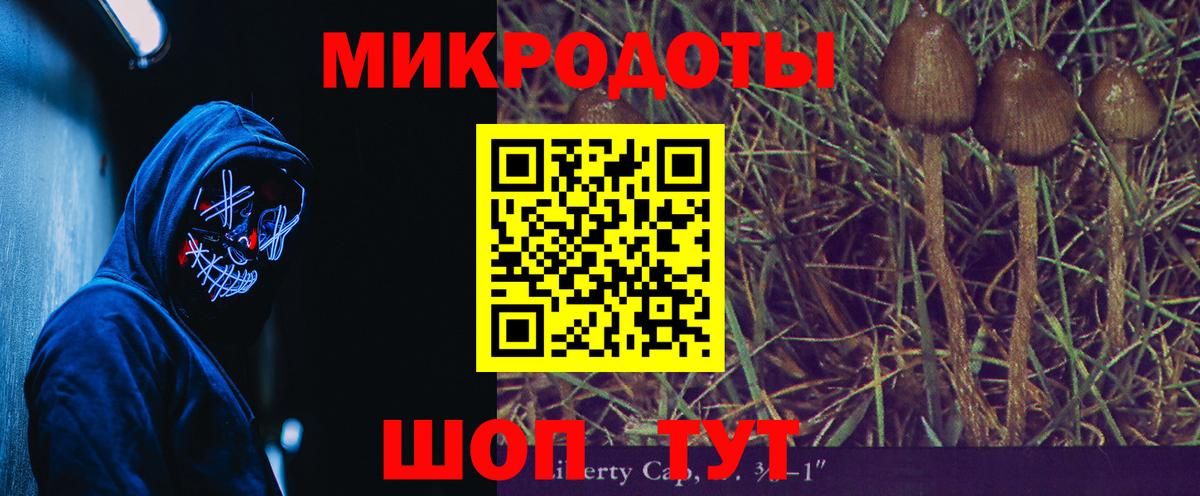 Шарыпово  Галлюциногенные грибы MAGIC MUSHROOMS  Вход с VPN  Галлюциногенные грибы мицелий 